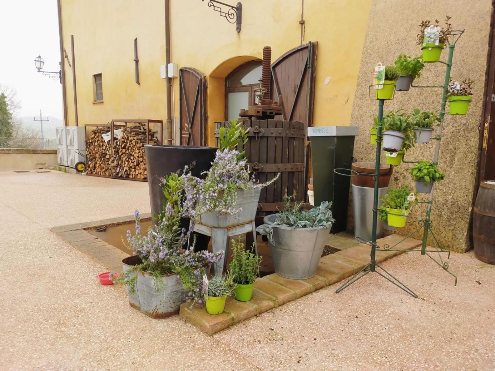 Casigliano  Locanda Di Casiglianoヴィラ エクステリア 写真